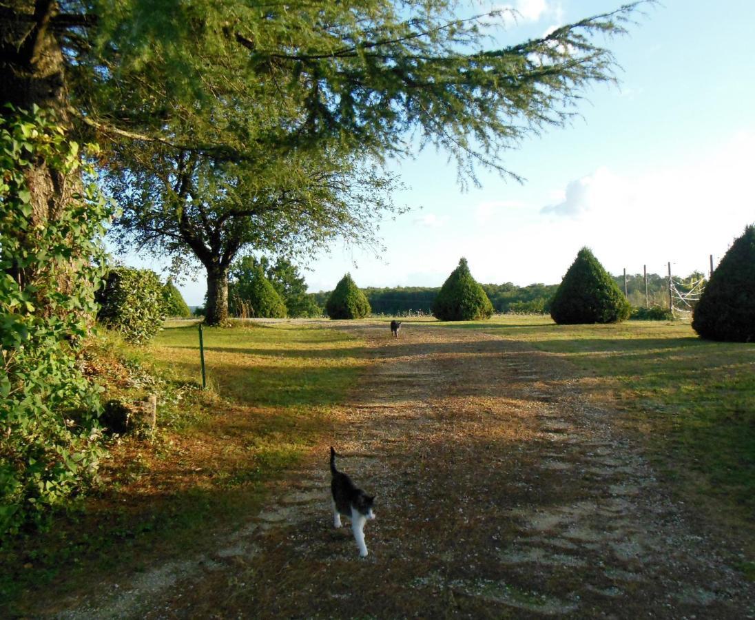 Hauts De Sentelines Sejour Authentique En Pleine Nature Gavaudun Εξωτερικό φωτογραφία
