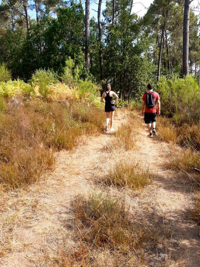 Hauts De Sentelines Sejour Authentique En Pleine Nature Gavaudun Εξωτερικό φωτογραφία