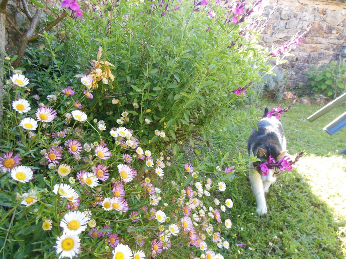 Hauts De Sentelines Sejour Authentique En Pleine Nature Gavaudun Εξωτερικό φωτογραφία