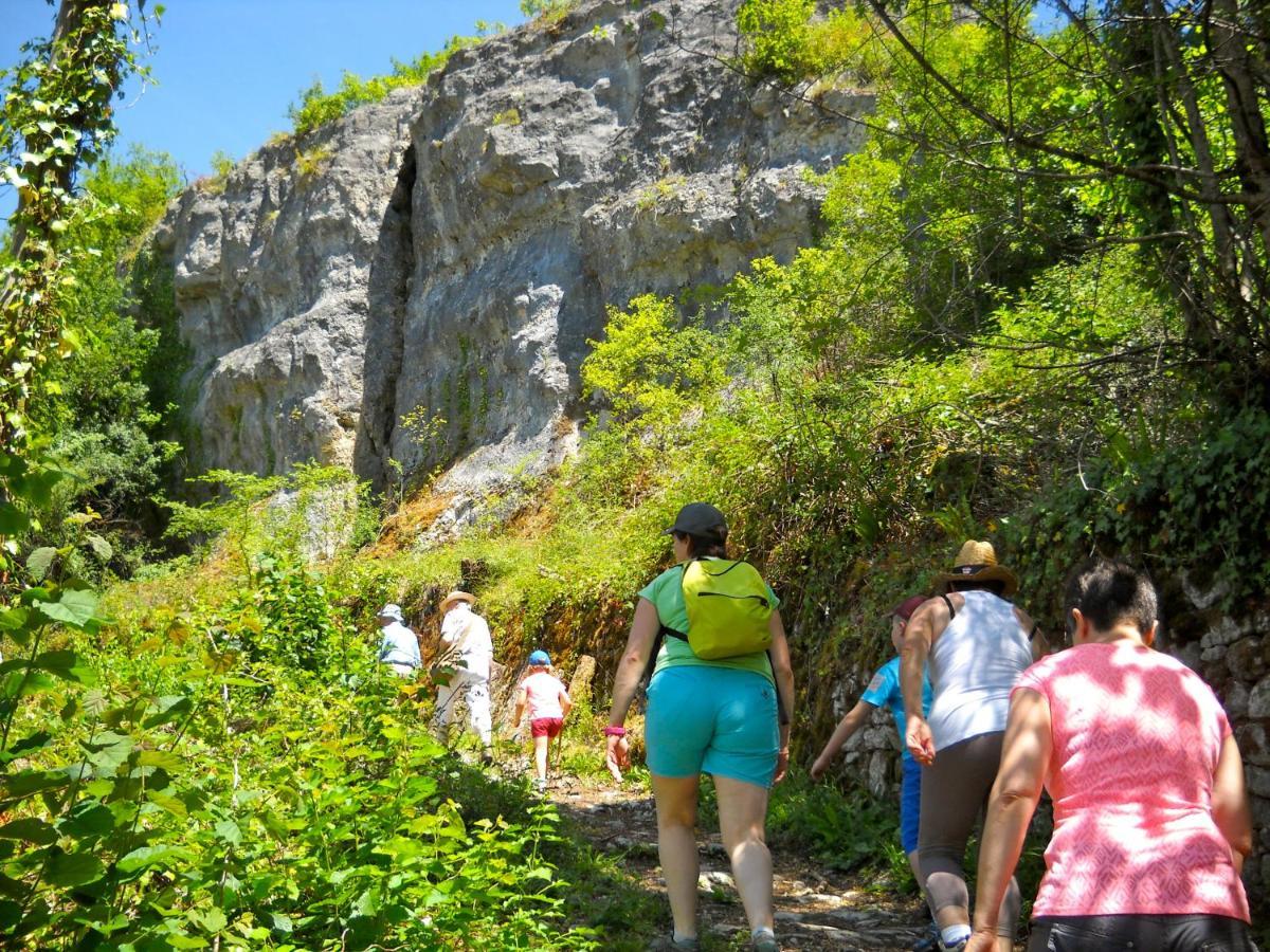 Hauts De Sentelines Sejour Authentique En Pleine Nature Gavaudun Εξωτερικό φωτογραφία